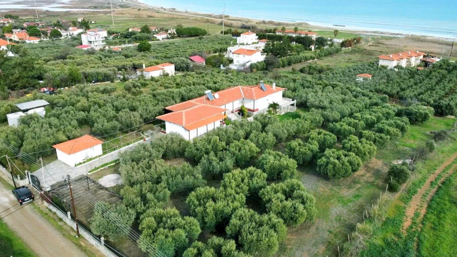 Kalelia Apartamento Nea Poteidaia Exterior foto